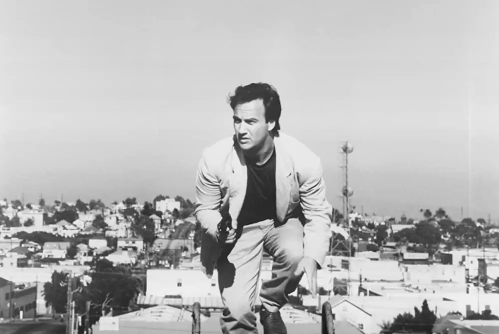 K-9／友情に輝く星の画像