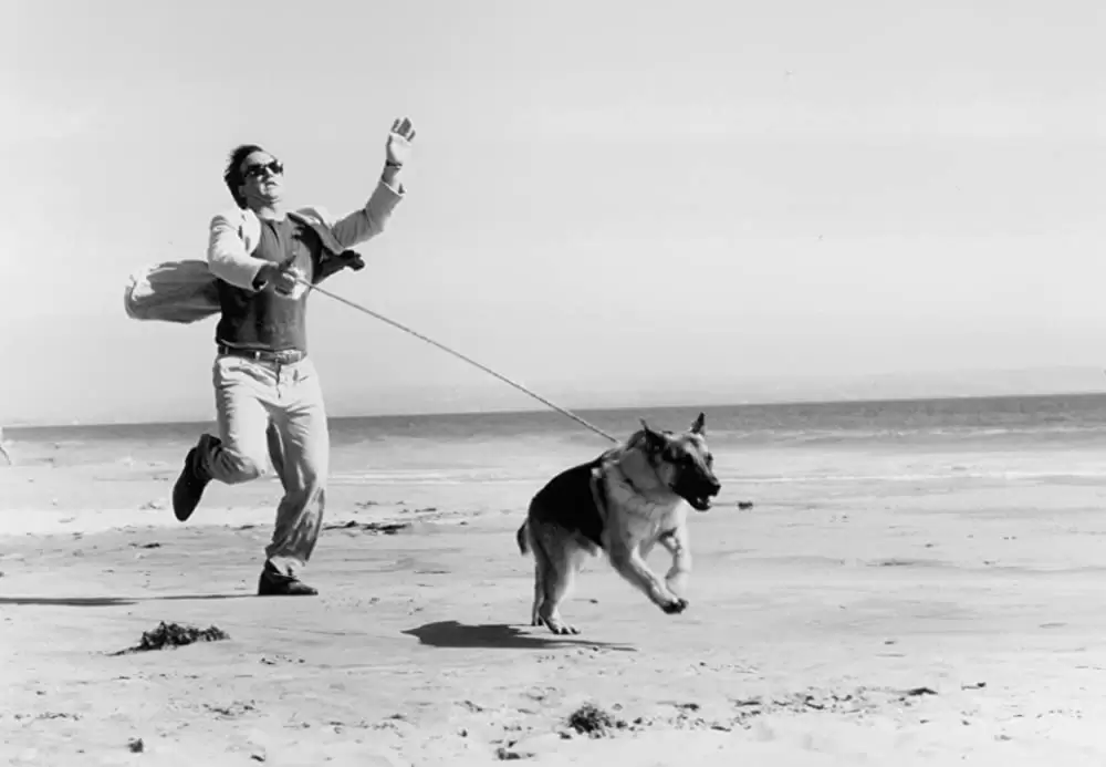 K-9／友情に輝く星の画像