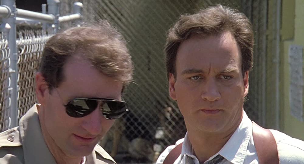 K-9／友情に輝く星の画像