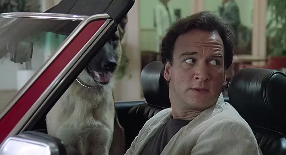 K-9／友情に輝く星の画像