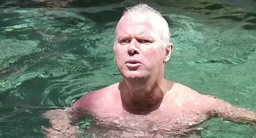 K-9／友情に輝く星の画像