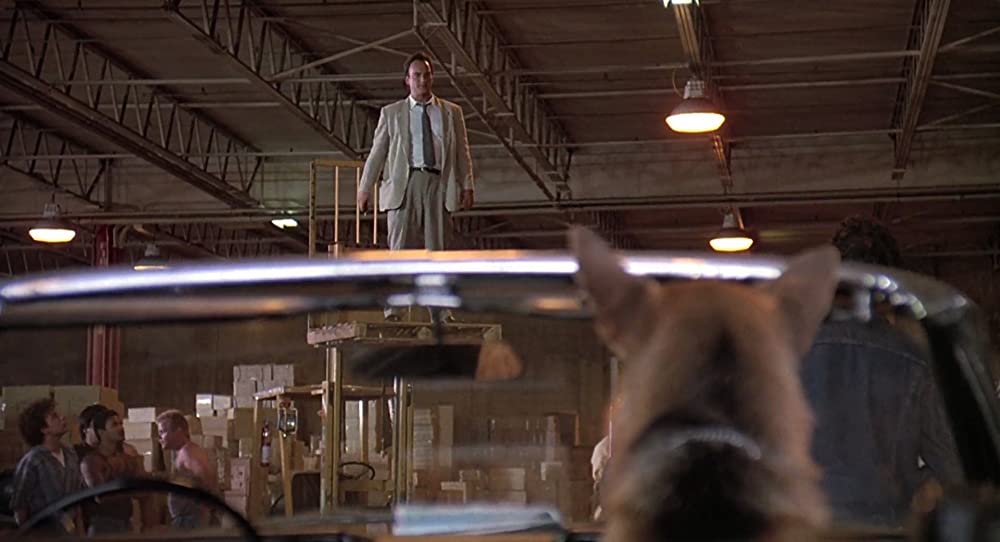 K-9／友情に輝く星の画像