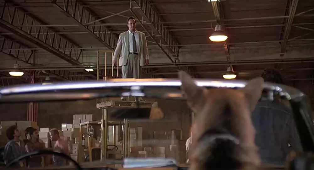 K-9／友情に輝く星の画像