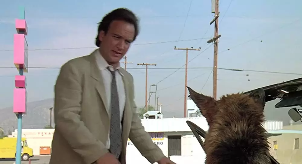 K-9／友情に輝く星の画像