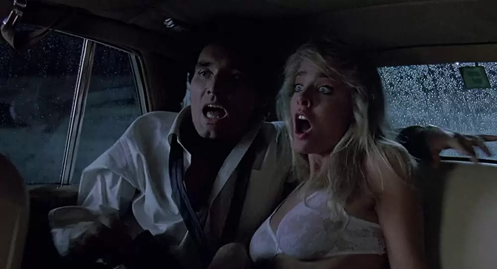 K-9／友情に輝く星の画像