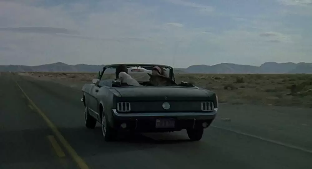 K-9／友情に輝く星の画像