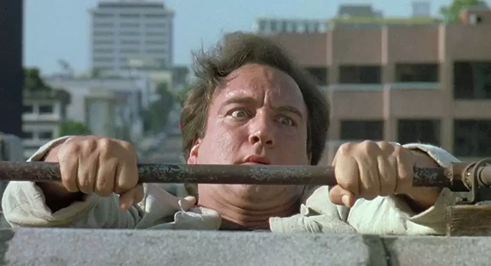 K-9／友情に輝く星の画像