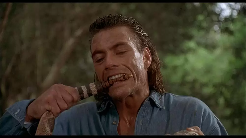 ハード・ターゲットの画像