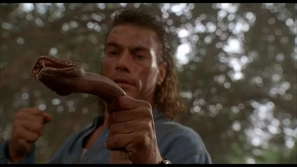 ハード・ターゲットの画像