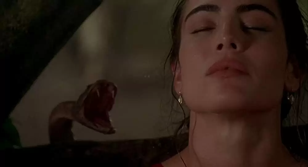 ハード・ターゲットの画像