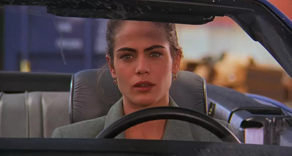 ハード・ターゲットの画像