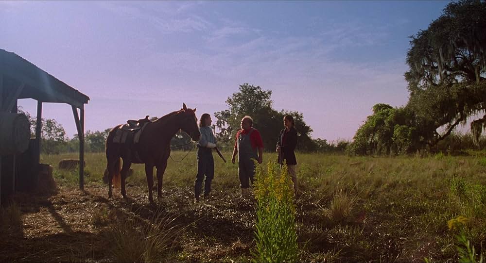 ハード・ターゲットの画像