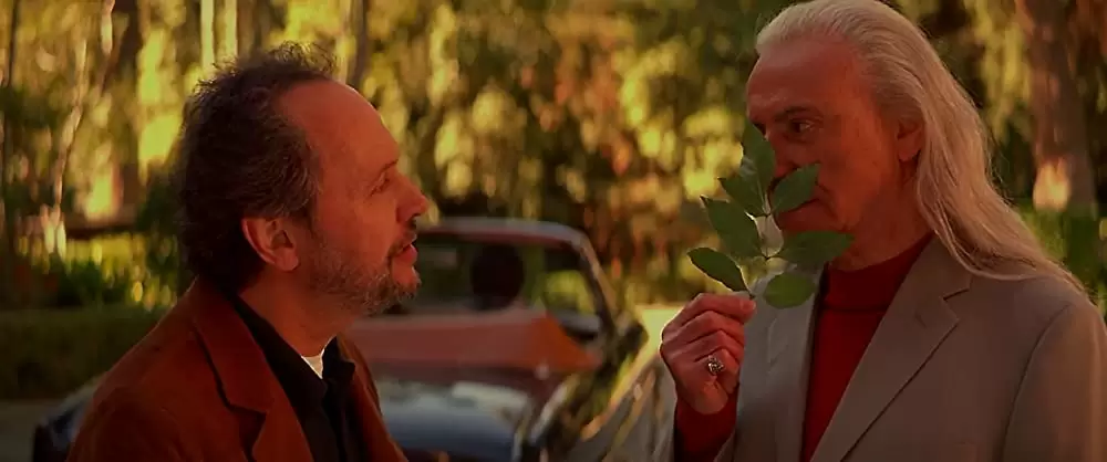 アメリカン・スウィートハートの画像