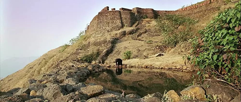 地上の星たちの画像