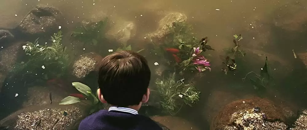 地上の星たちの画像