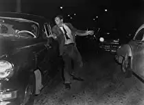 ボディ・スナッチャー/恐怖の街の画像