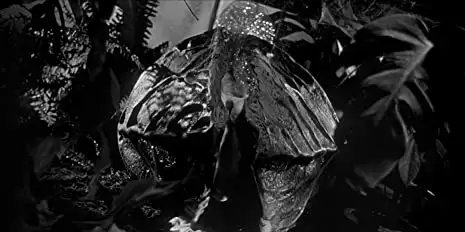 ボディ・スナッチャー/恐怖の街の画像