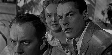 ボディ・スナッチャー/恐怖の街の画像