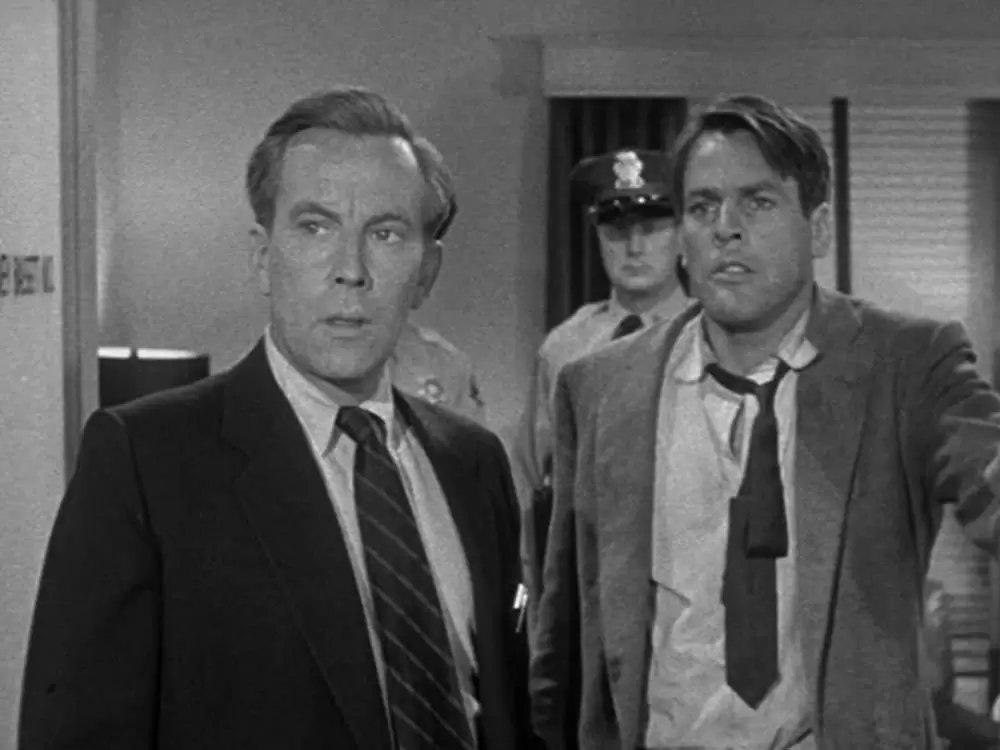 ボディ・スナッチャー/恐怖の街の画像