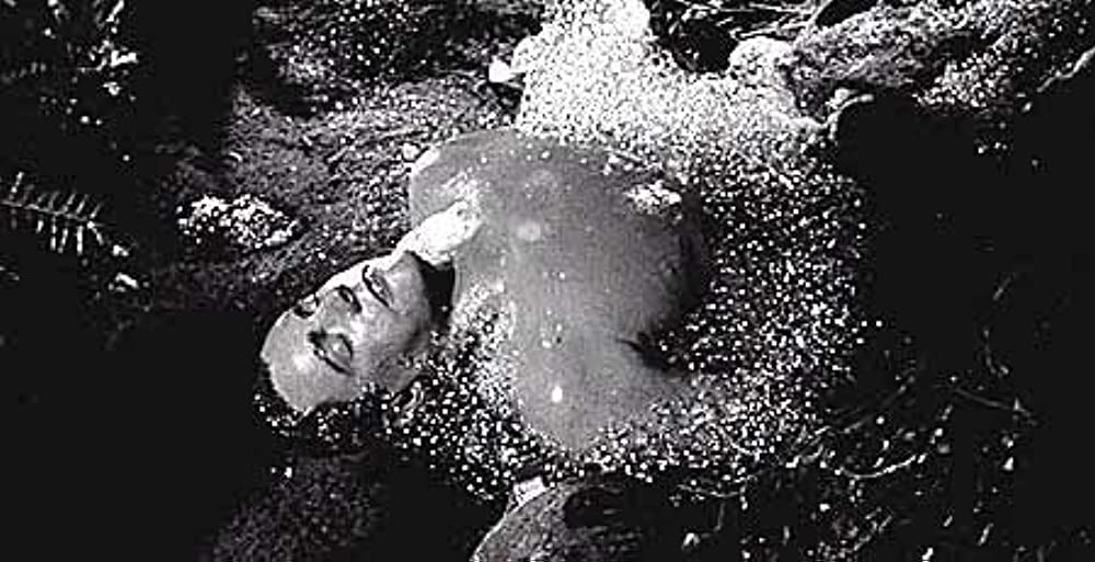 ボディ・スナッチャー／恐怖の街の画像