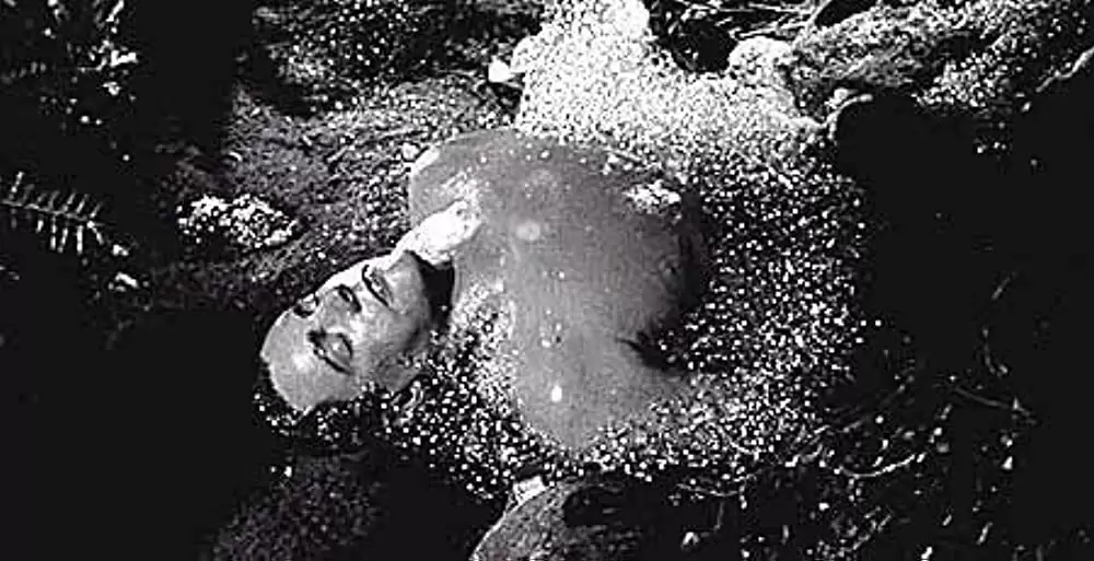 ボディ・スナッチャー/恐怖の街の画像