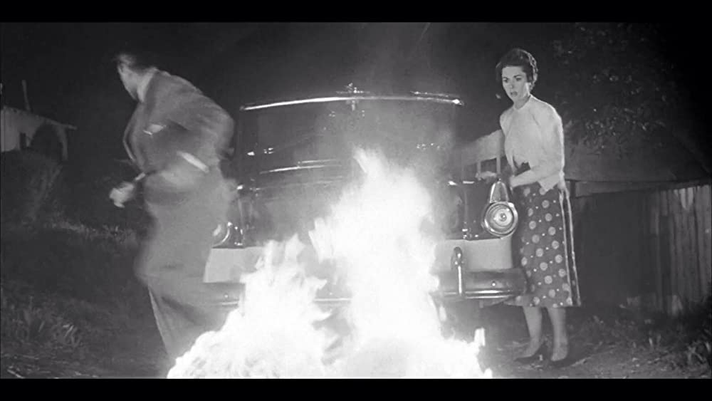 ボディ・スナッチャー／恐怖の街の画像