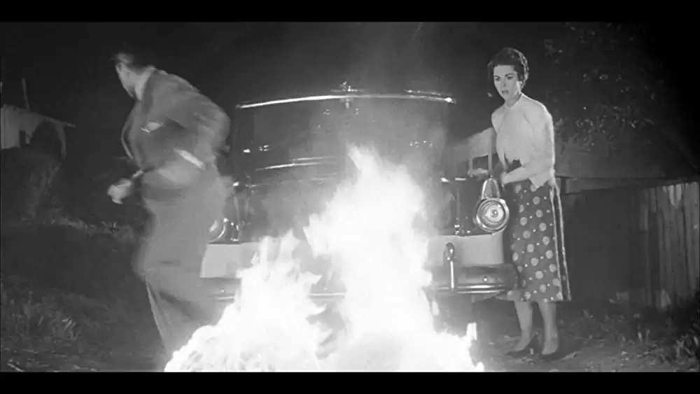 ボディ・スナッチャー/恐怖の街の画像