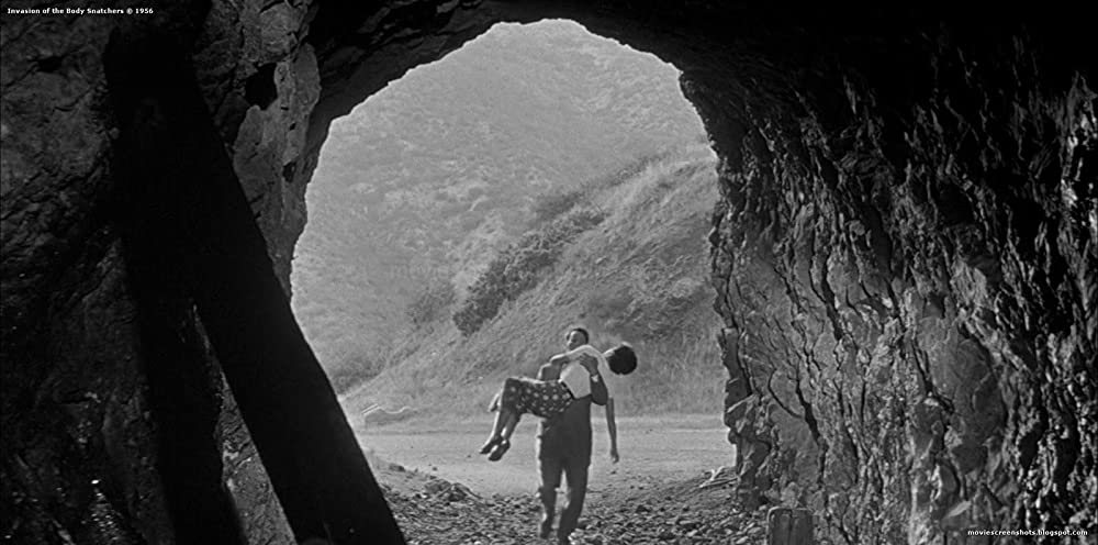 ボディ・スナッチャー／恐怖の街の画像