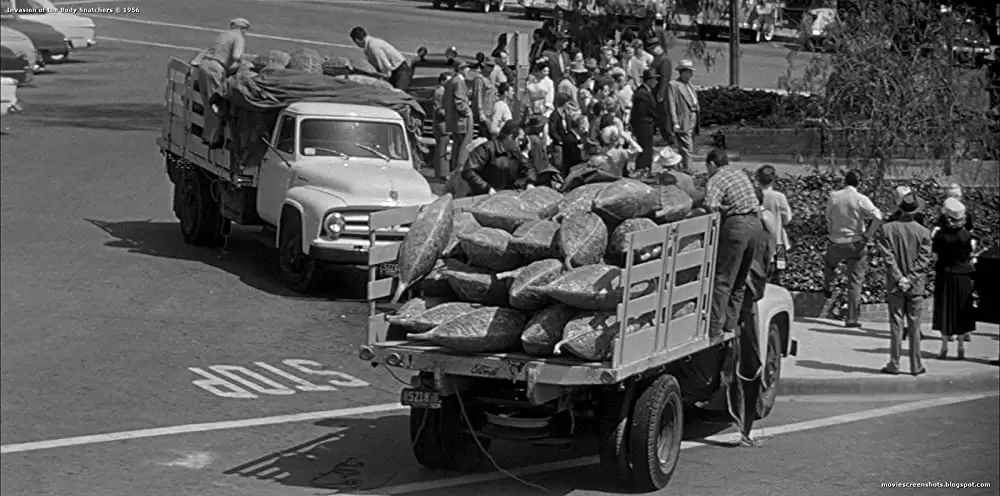 ボディ・スナッチャー/恐怖の街の画像