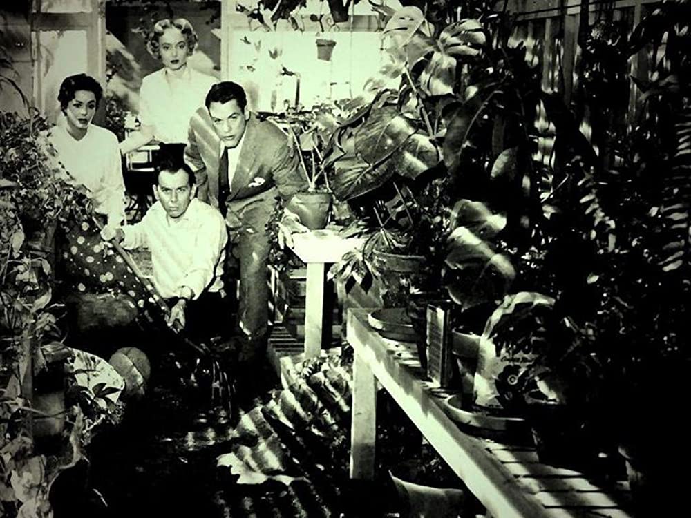 ボディ・スナッチャー/恐怖の街の画像