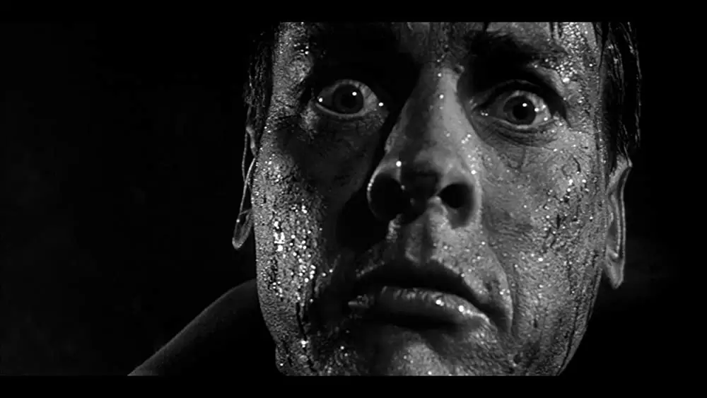 ボディ・スナッチャー/恐怖の街の画像