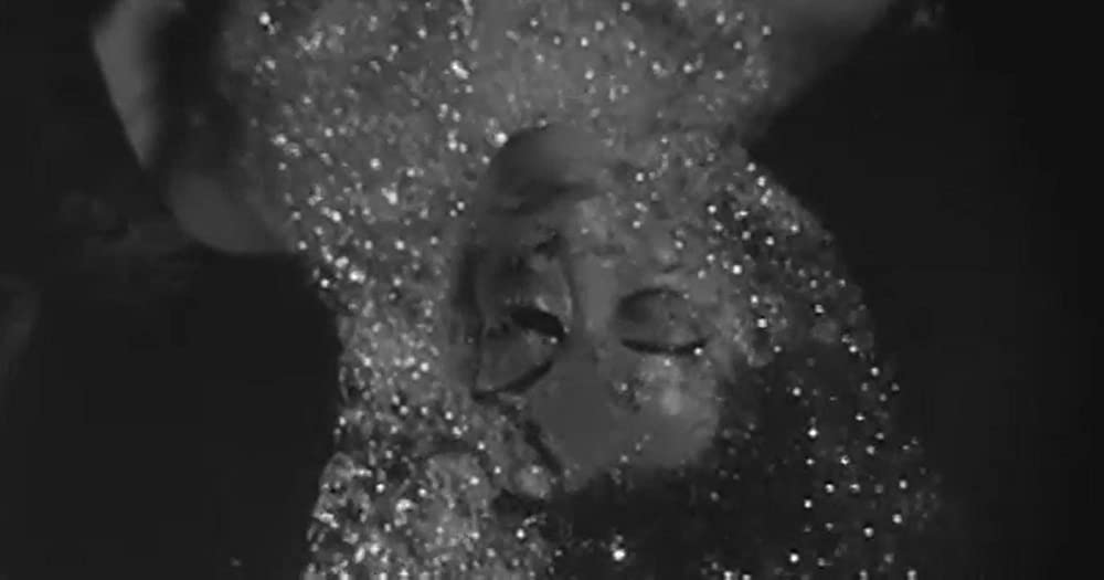 ボディ・スナッチャー／恐怖の街の画像