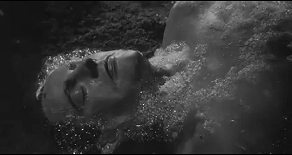 ボディ・スナッチャー／恐怖の街の画像