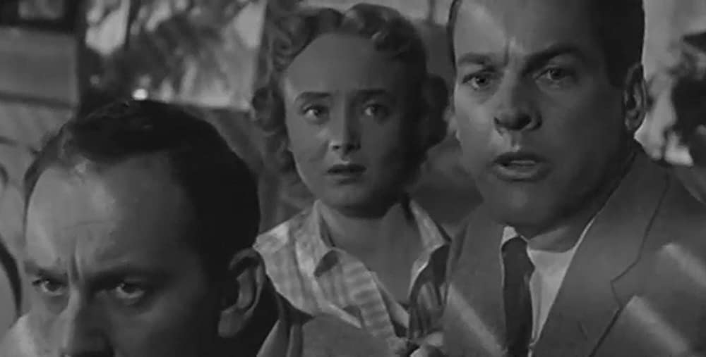 ボディ・スナッチャー/恐怖の街の画像