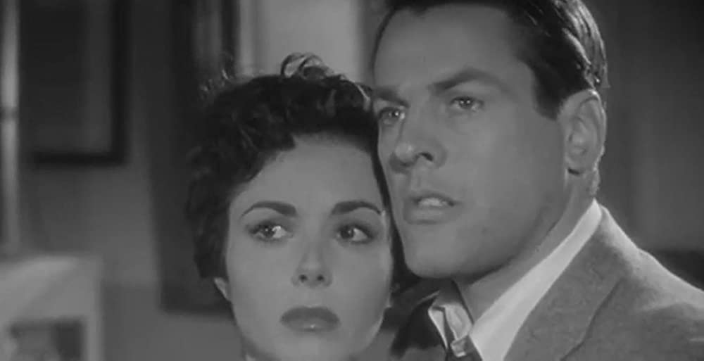 ボディ・スナッチャー／恐怖の街の画像