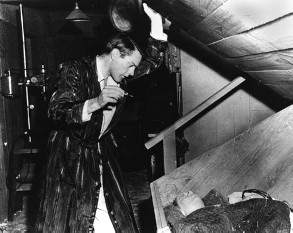 ボディ・スナッチャー/恐怖の街の画像