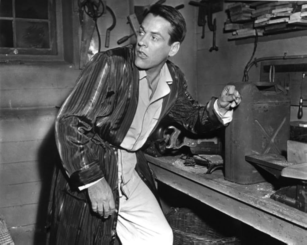 ボディ・スナッチャー/恐怖の街の画像