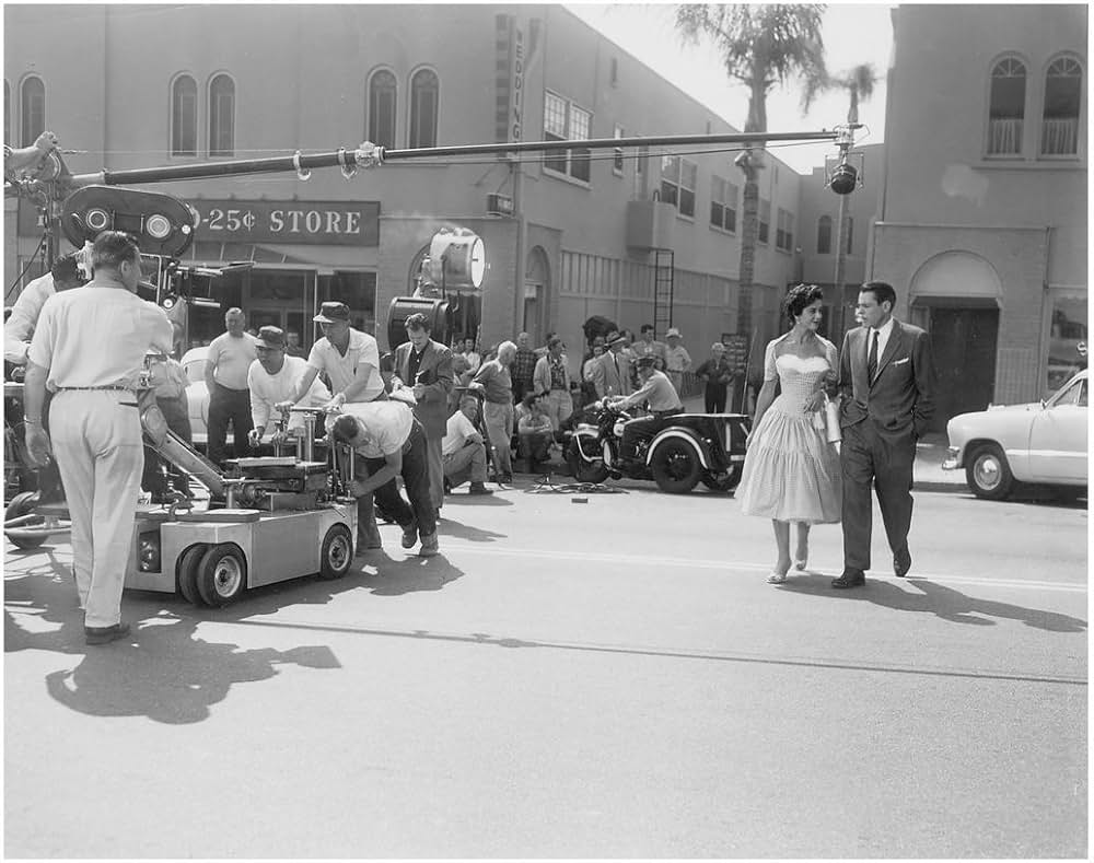 ボディ・スナッチャー/恐怖の街の画像