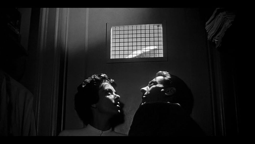 ボディ・スナッチャー/恐怖の街の画像