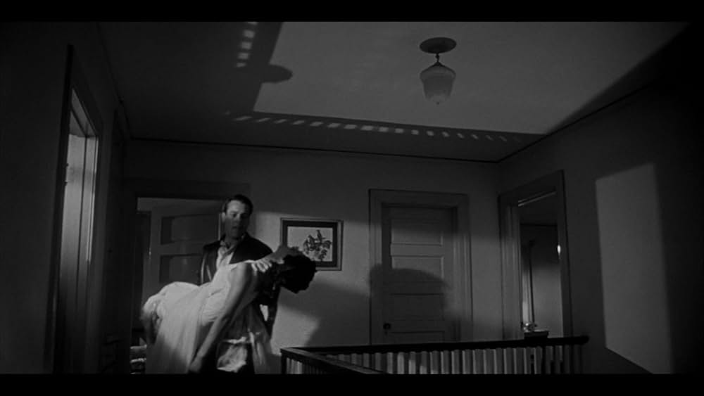 ボディ・スナッチャー/恐怖の街の画像