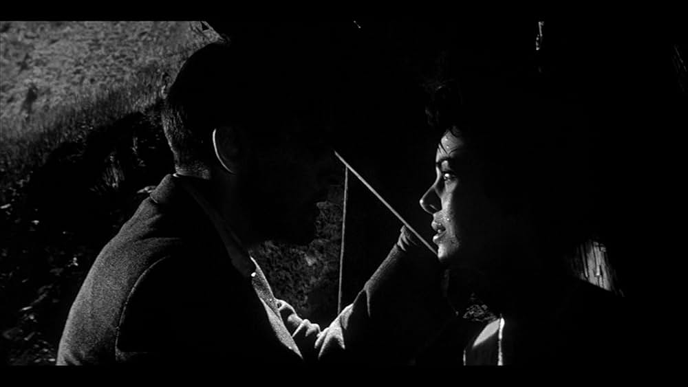 ボディ・スナッチャー/恐怖の街の画像