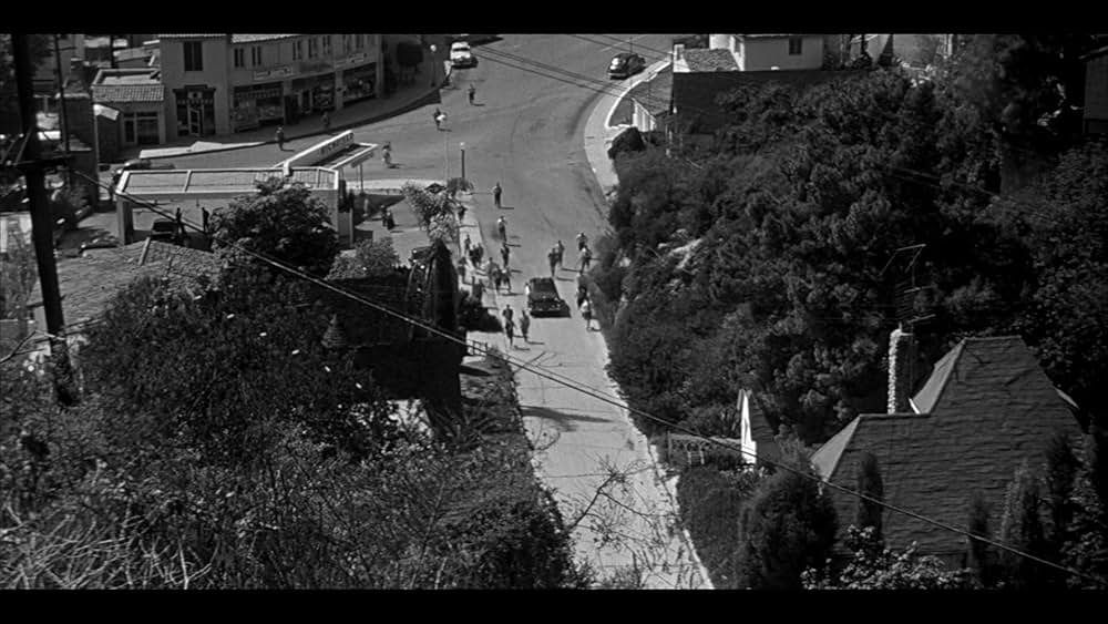 ボディ・スナッチャー/恐怖の街の画像