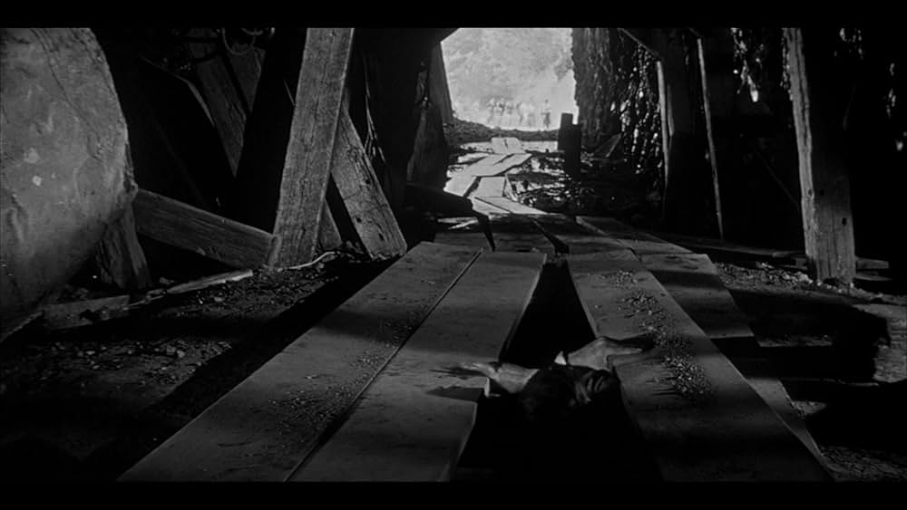 ボディ・スナッチャー/恐怖の街の画像