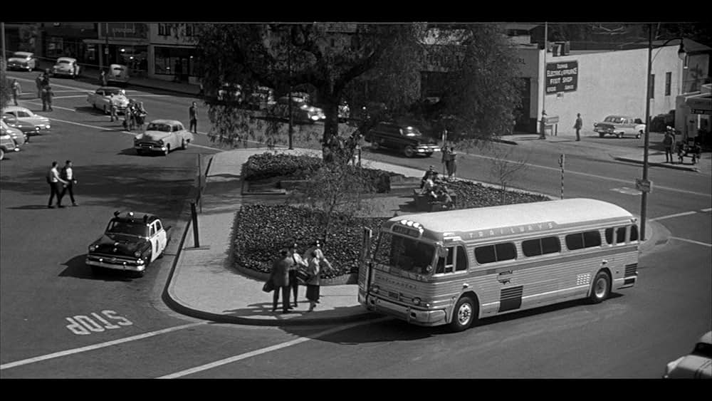 ボディ・スナッチャー/恐怖の街の画像