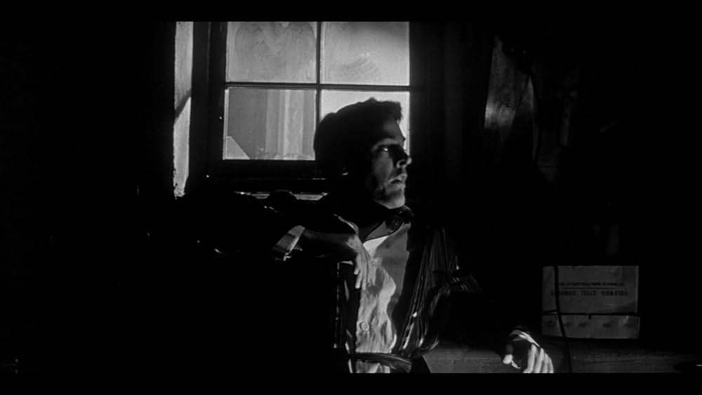 ボディ・スナッチャー/恐怖の街の画像