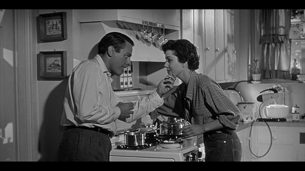 ボディ・スナッチャー/恐怖の街の画像