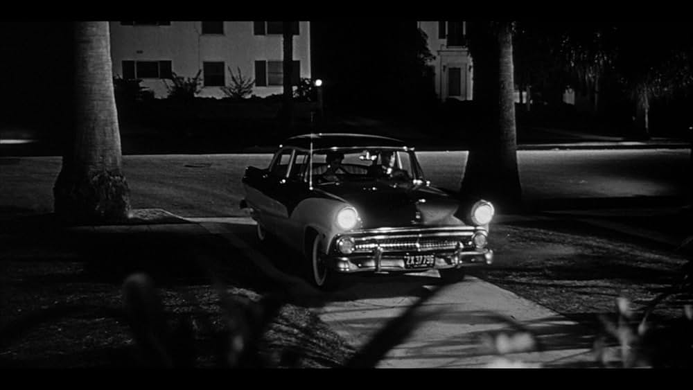 ボディ・スナッチャー/恐怖の街の画像