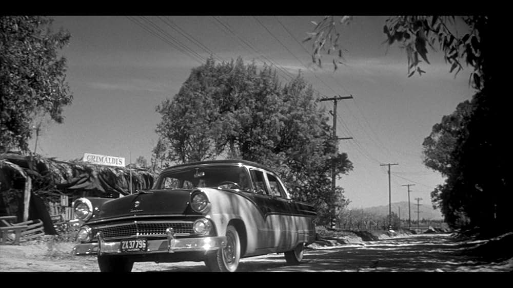 ボディ・スナッチャー/恐怖の街の画像