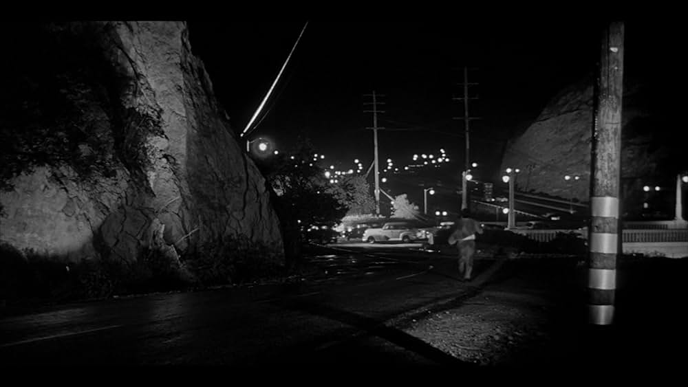 ボディ・スナッチャー/恐怖の街の画像