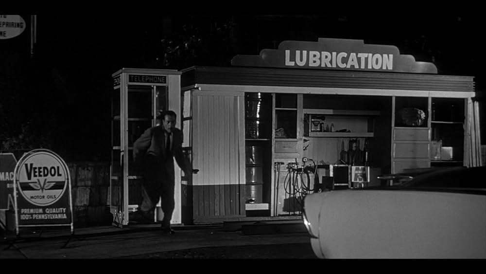 ボディ・スナッチャー/恐怖の街の画像